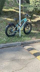 Julia Weber review photo
