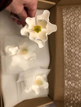 Ln11 review photo