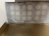 Lixenia M. review photo