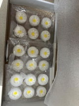 Lixenia M. review photo