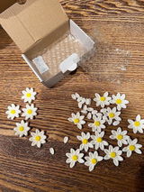 Diana review photo