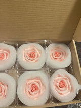 FI L. review photo