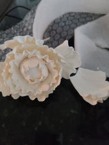 Evelisse H. review photo