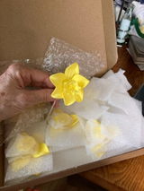 RobinHill review photo