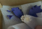 Jeze review photo