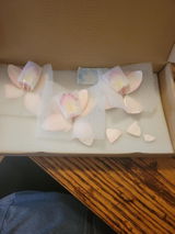 Aurora H. review photo