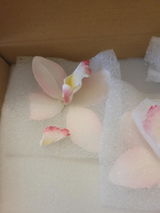 Aurora H. review photo