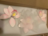 Brijette review photo