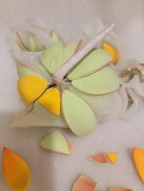 leahs review photo