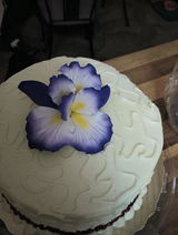 Teresa H. review photo