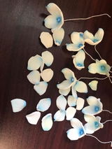 MD review photo