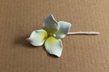 @Jenks729 review photo