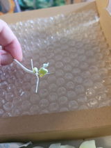 TonyaS review photo