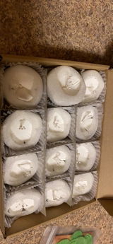 Tara L. review photo