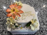 Donna N. review photo