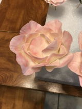 Roxann M. review photo
