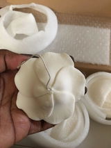 Doshia S. review photo