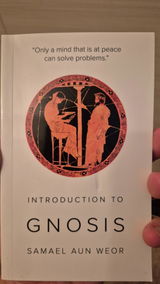 Theo review photo