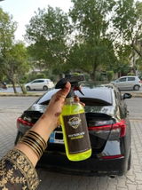 Aliya review photo