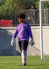 Premium Glovus Goalkeeper Glove