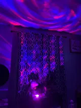 O***t review photo