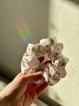 Moni review photo