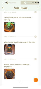 Joshua review photo