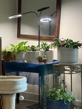 Margaret E. Squires review photo