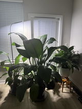 Tiffany Sloan review photo