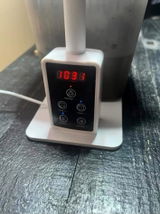 pat_the_plantguy review photo