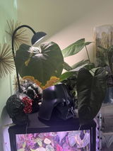 Satisfied review photo