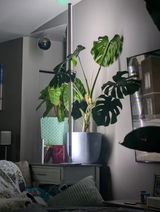 CSCkatie review photo