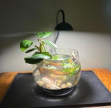 Flora Atherton review photo