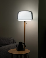 Sam Wilson review photo