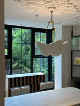 Daniel Fitzgerald review photo