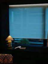 Stephanie Nguyen review photo