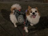 匿名 review photo