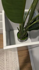 NurseSA review photo