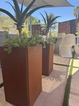 azyogamom review photo