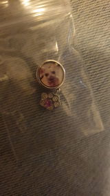 moni review photo