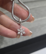 Immacolata review photo