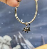 Jakub review photo