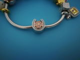 Ariel review photo
