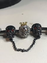 Masterscouticus review photo