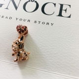 ROSA review photo