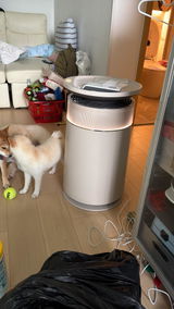 June Chan review photo