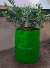 Karthik Ramesh review photo