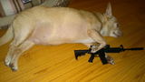 Alfonso Magan review photo