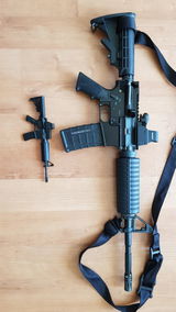 Gergely Winter review photo