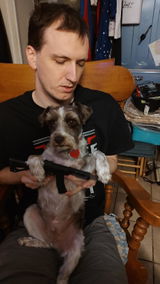 Niklaus the assault Schnauzer review photo